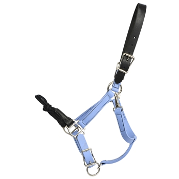 Buy An Periwinkle Blue Beta Biothane Halter at Two Horse Tack