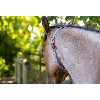 Periwinkle Blue Beta Biothane Turnout Neck Collar for Horses