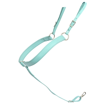 Dusty Turquoise Beta Biothane Breast Collar - You Choose the Size/Style