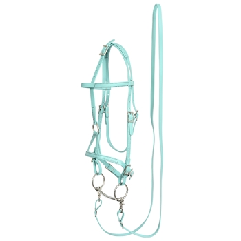 Dusty Turquoise Beta Biothane Bridle - You Choose The Size/Style