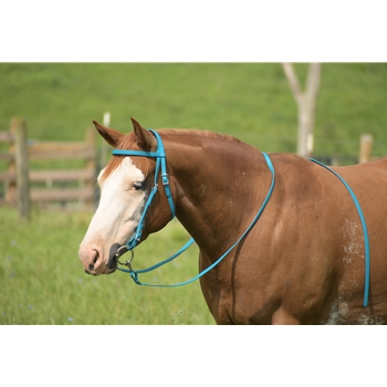 Light/Sky Blue Beta Biothane Bridle - You Choose The Size/Style