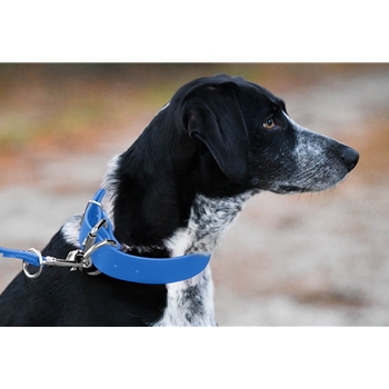 DOG COLLAR made from Light/Sky Blue Beta Biothane