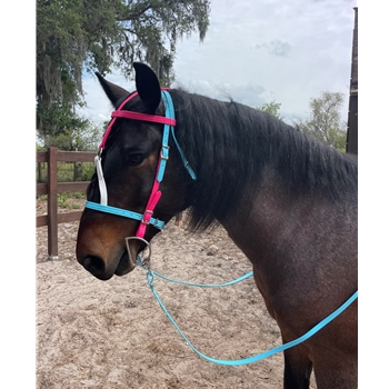 MEDIEVAL BAROQUE WAR or PARADE BRIDLE with reins Beta Biothane