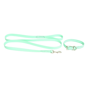 DOG COLLAR made from Mint/Seafoam Green BETA BIOTHANE