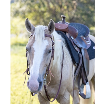 Mahogany/Reddish Brown Bridle made from Beta Biothane