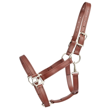 Buy A Mahogany/Reddish Brown Beta Biothane Halter at Two Horse Tack