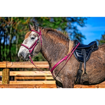 Wine/Maroon Beta Biothane Breast Collar - You Choose the Size/Style