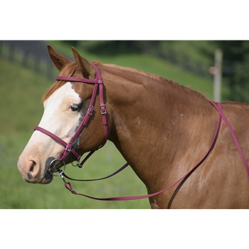 Wine/Maroon Beta Biothane Bridle - You Choose The Size/Style