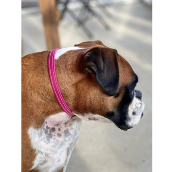 Wine/Maroon Beta Biothane Dog Collar - Any Size