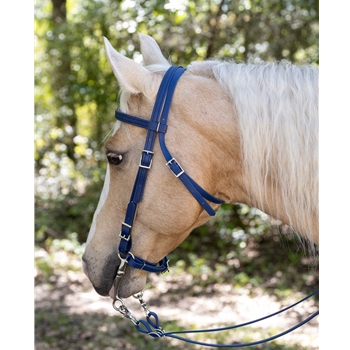 Navy Blue Beta Biothane Bridle - You Choose The Size/Style