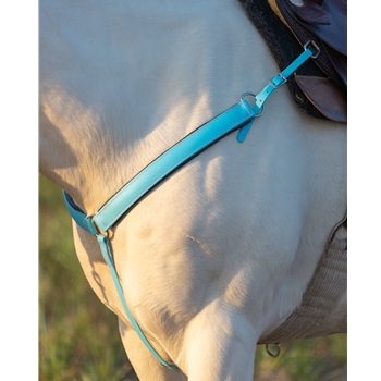 Baby Blue Beta Biothane Breast Collar - You Choose the Size/Style