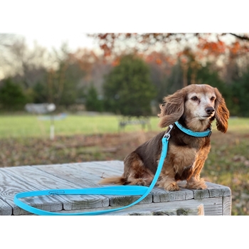 Baby Blue Beta Biothane Dog Collar - Any Size