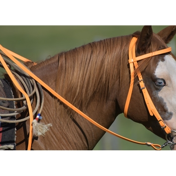 Mango Orange Beta Biothane Reins - Any Style, Any Length