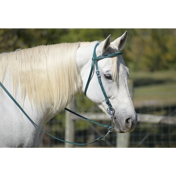 Hunter/Dark Green Beta Biothane Bridle - You Choose The Size/Style