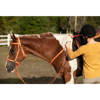 Hunters Orange Beta Biothane Reins - Any Style, Any Length