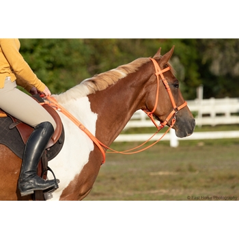 Hunters Orange Beta Biothane Bridle - You Choose The Size/Style