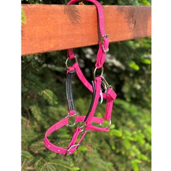 Bubblegum Pink Beta Biothane Halter - Any Size, Any Style