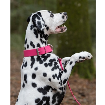 Bubblegum Pink Beta Biothane Dog Collar - Any Size