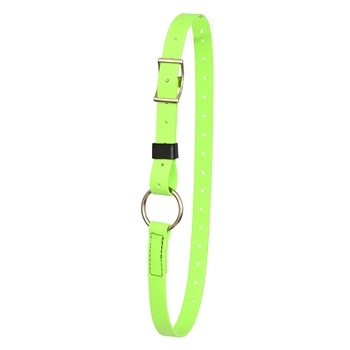 Apple Green Beta Biothane Horse Neck Collar - Any Size, Any Style