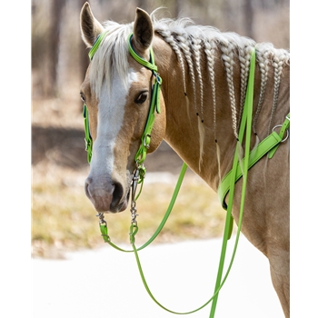 Apple Green Beta Biothane Bridle - You Choose The Size/Style