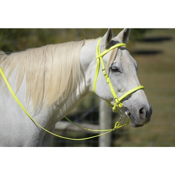 Safety Yellow/Neon Beta Biothane Bridle - You Choose The Size/Style