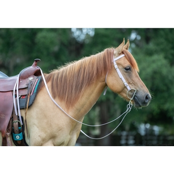 Lavender Beta Biothane Reins - Any Style, Any Length