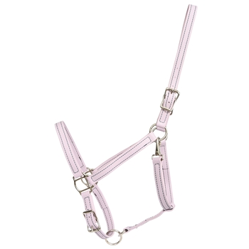 Lavender Beta Biothane Halter - Any Size, Any Style