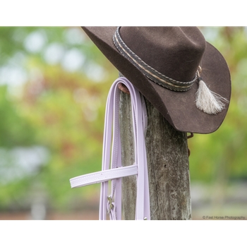 Lavender Beta Biothane Bridle - You Choose The Size/Style