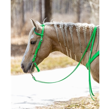 Lime/Neon Green Beta Biothane Reins - Any Style, Any Length