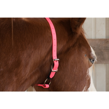 Hot/Neon Pink Beta Biothane Horse Neck Collar - Any Size, Any Style