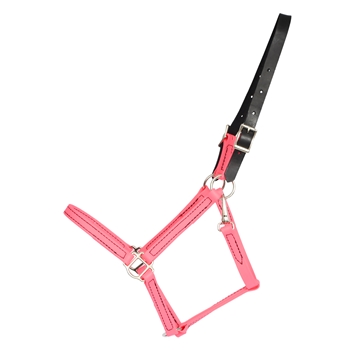 Hot/Neon Pink Beta Biothane Halter - Any Size, Any Style