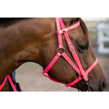 Hot/Neon Pink Beta Biothane Bridle - You Choose The Size/Style