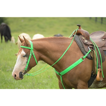 Lime/Neon Green Beta Biothane Bridle - You Choose The Size/Style