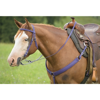 Purple Beta Biothane Bridle - You Choose The Size/Style