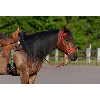 Red Beta Biothane Bridle - You Choose The Size/Style