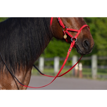 Beta Biothane Reins - Any Style, Any Length