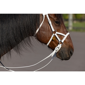 White Beta Biothane Reins - Any Style, Any Length