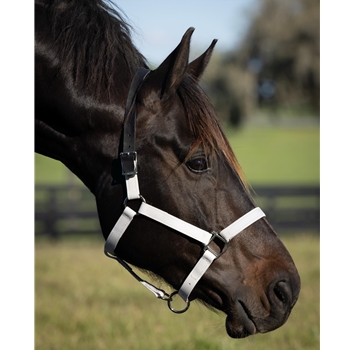 White Beta Biothane Halter - Any Size, Any Style