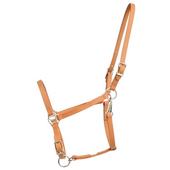 Tan/Light Brown Beta Biothane Halter - Any Size, Any Style