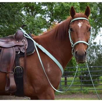 Sage Green Beta Biothane Bridle - You Choose The Size/Style