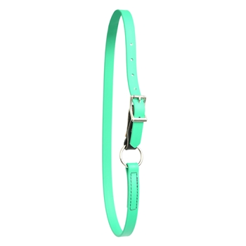 Kelly/Emerald Green Beta Biothane Horse Neck Collar - Any Size, Any Style