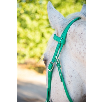 Kelly/Emerald Green Beta Biothane Bridle - You Choose The Size/Style