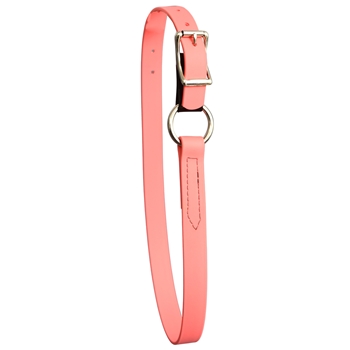 Coral/Peach Pink Beta Biothane Horse Neck Collar - Any Size, Any Style