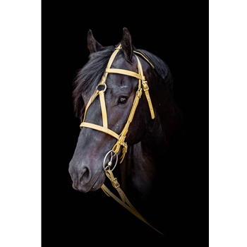 Gold Beta Biothane Bridle - You Choose The Size/Style