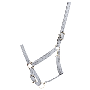 Gray Beta Biothane Halter - Any Size, Any Style