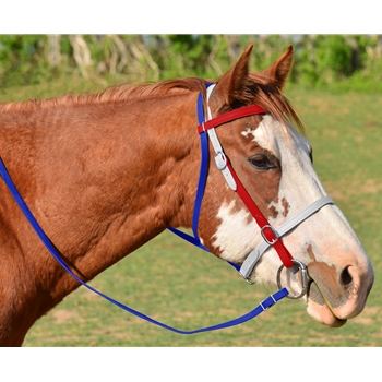 Tricolor WESTERN BRIDLE made from BETA BIOTHANE (3 Colors Mix N Match)