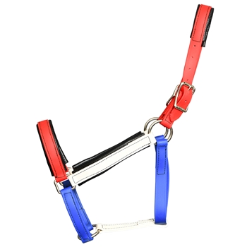 Buckle Nose Halter & Lead Beta Biothane Solid Colored