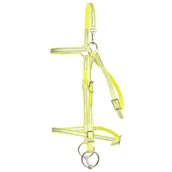 Reflective Beta Biothane Bridle - You Choose The Size/Style